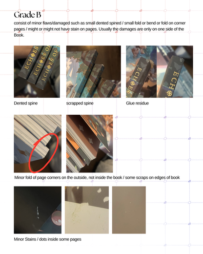 [Grade B & C] Echoes of Traveler's Sky Artbook